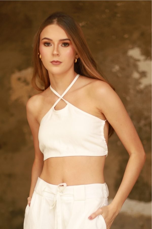 Amy crop top